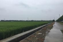 昆山大米生产基地