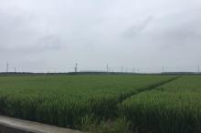 昆山大米生产基地