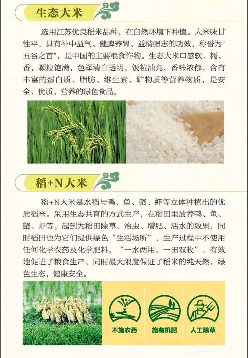 昆山绿色大米